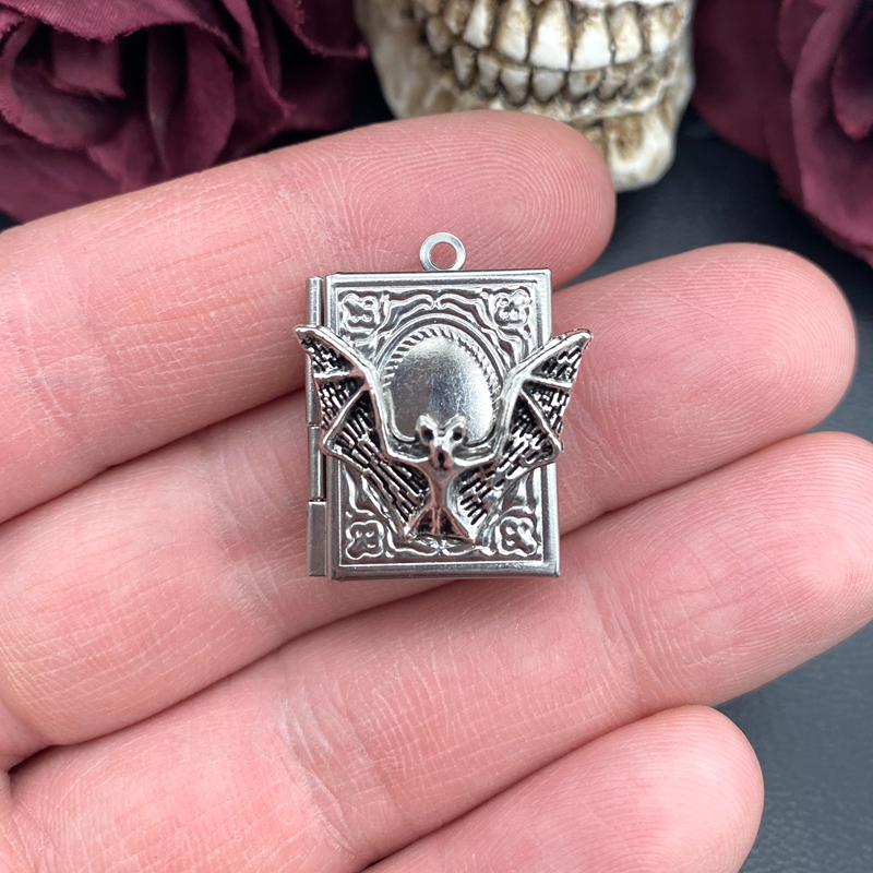 2pcs 27*22mm 박쥐 책 로켓 매력 스테인레스  - Jewelry Making Books 리뷰 및 가격