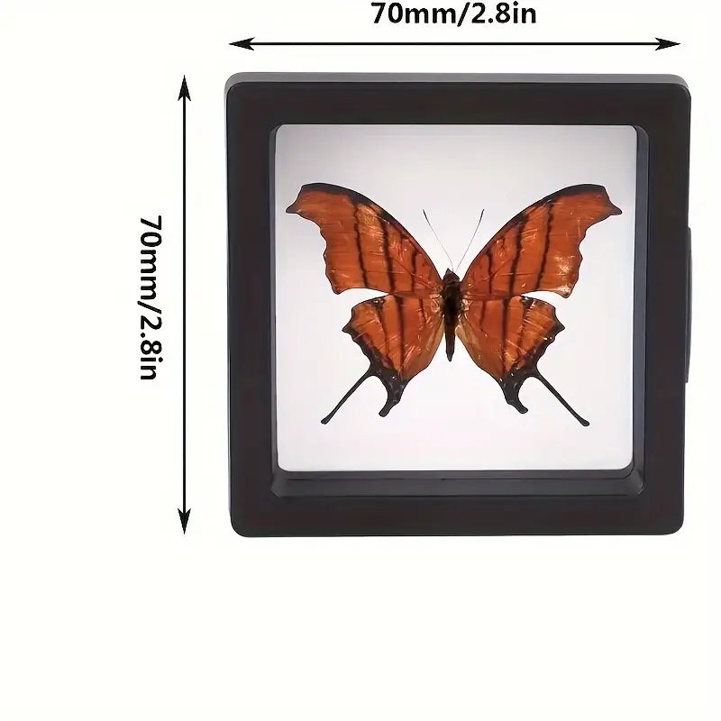 20Pcs Clearview 3D 플로팅 디스플레이 케 - Jewelry Making Tray 리뷰 및 가격